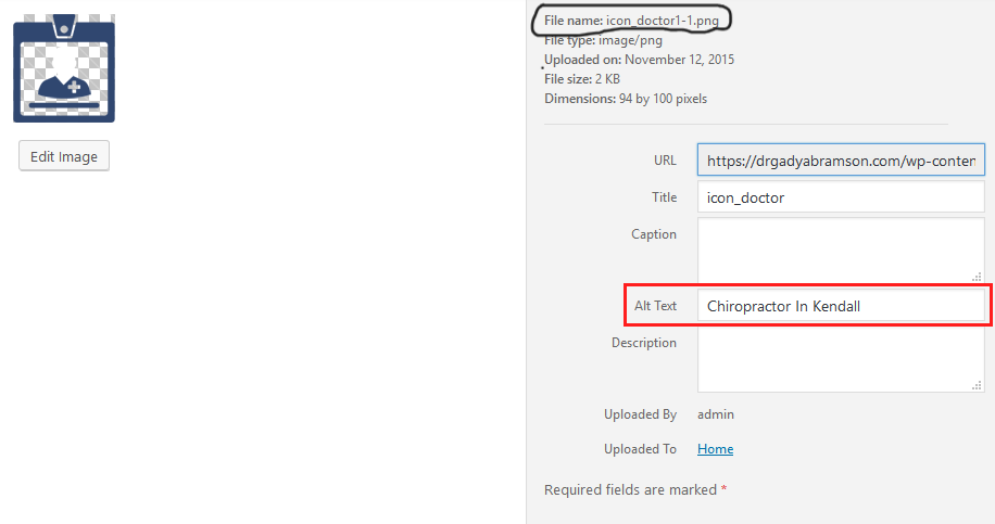 Image Optimization in SEO Audit